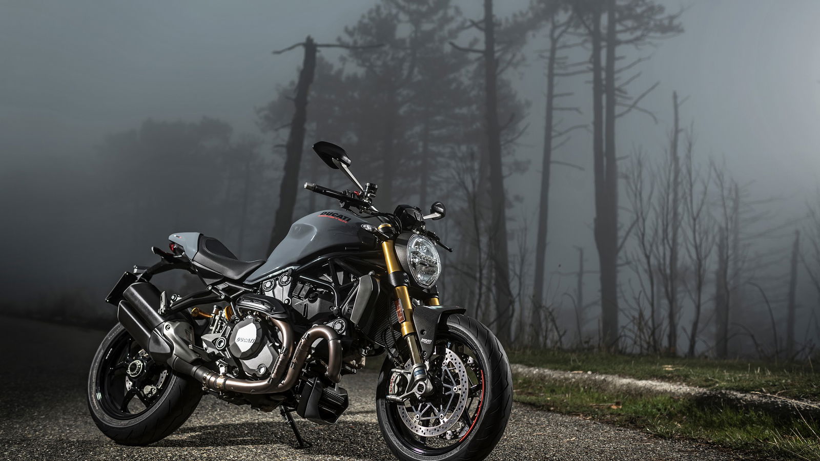 2017 Ducati Monster 1200